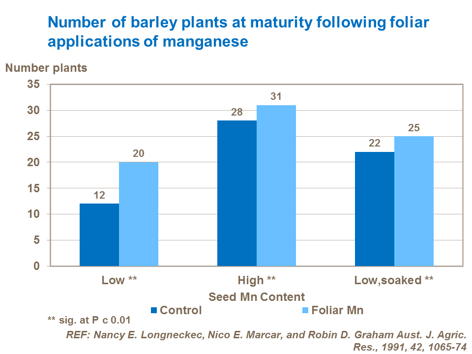 Number of barley plants at maturity following foliar applications of manganese