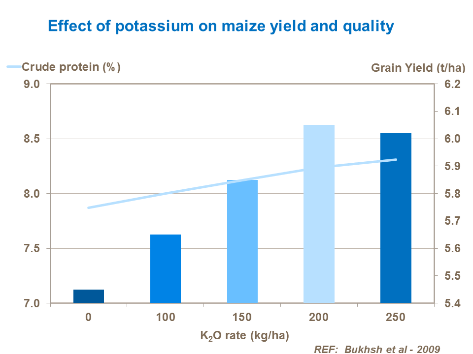 Effect of potassium on maize yield and quality
