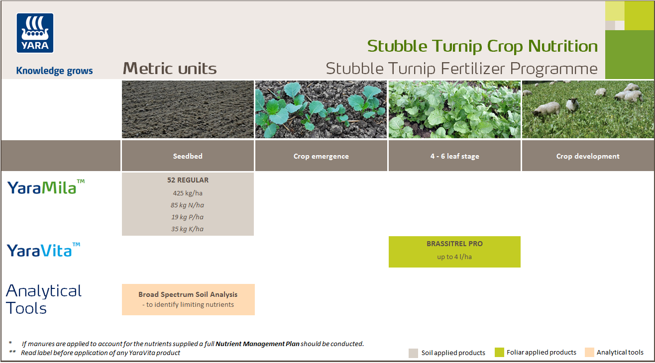 Stubble turnip fertiliser programme