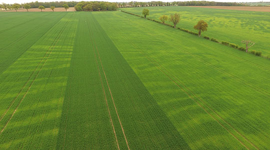 Farmer Fields