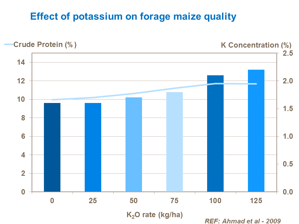 Effect of potassium on forage maize quality