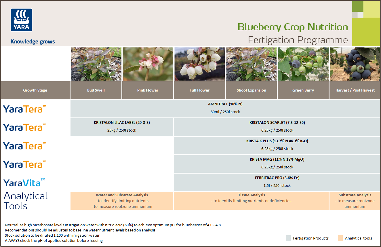 Blueberries fertigation programme