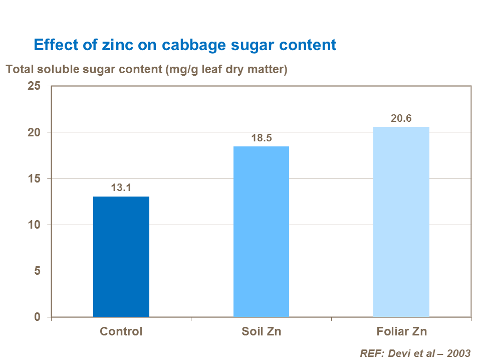 Effect of zinc on cabbage sugar content