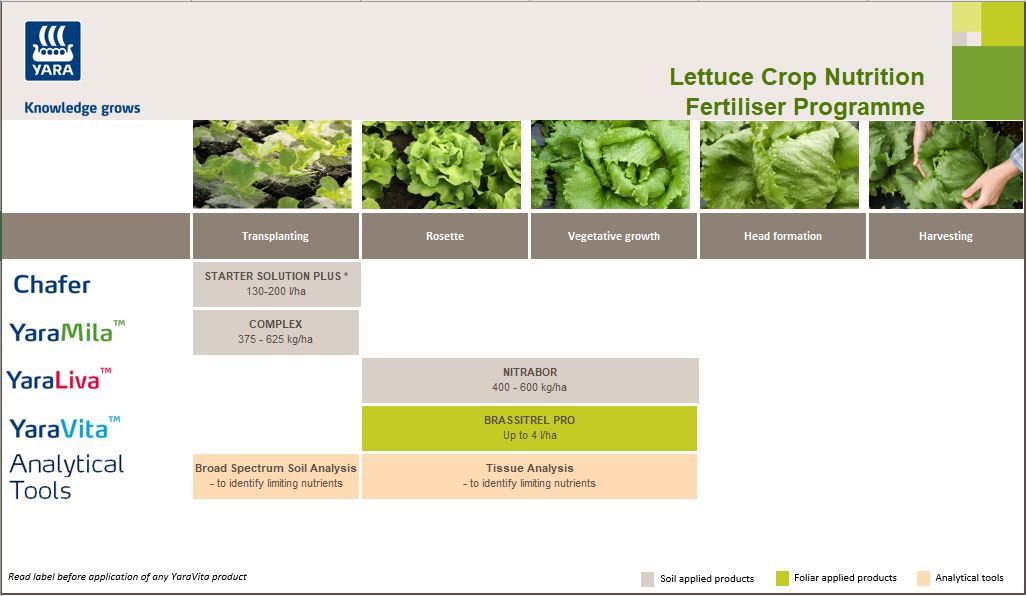 Lettuce crop nutrition programme