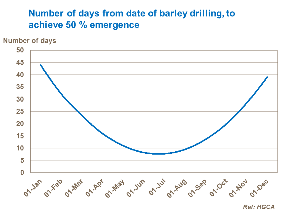 Number of days from date of barley drilling, to achieve 50 % emergence