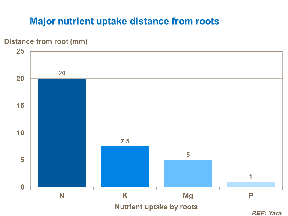 Major nutrient uptake distance from roots