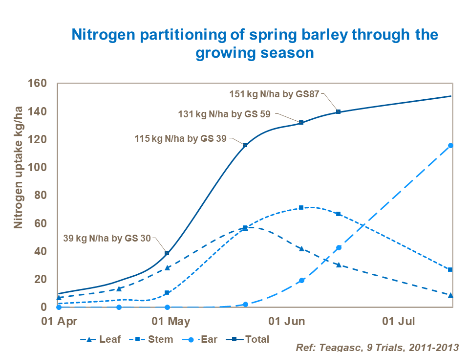 Nitrogen partitioning of spring barley through the growing season.png