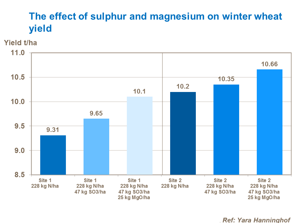 The effect of sulphur and magnesium on winter wheat yield