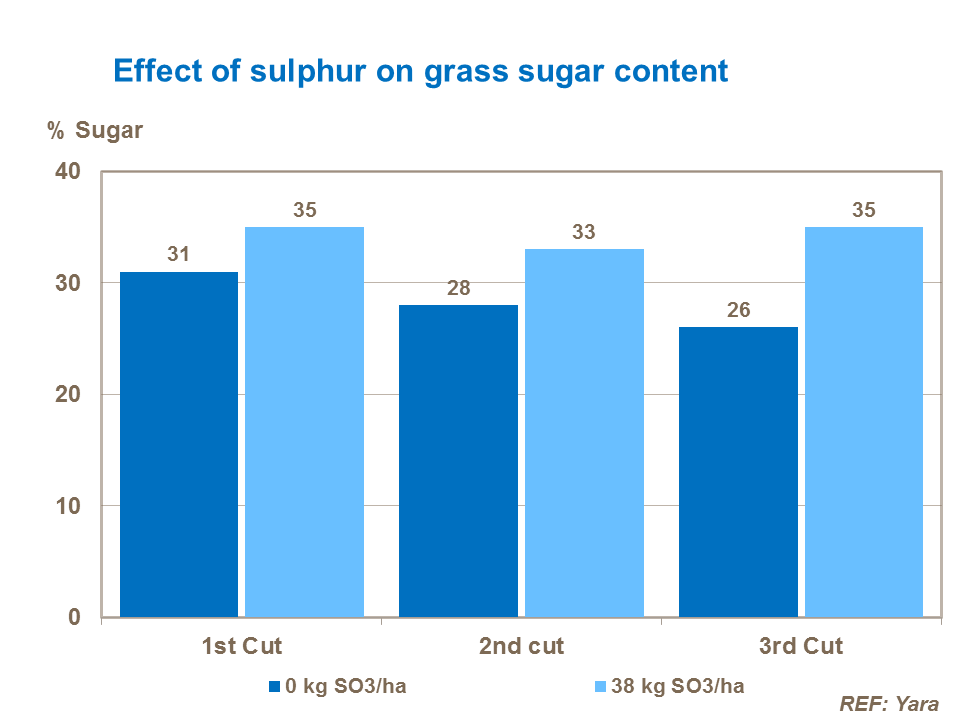 Effect of sulphur on grass sugar content