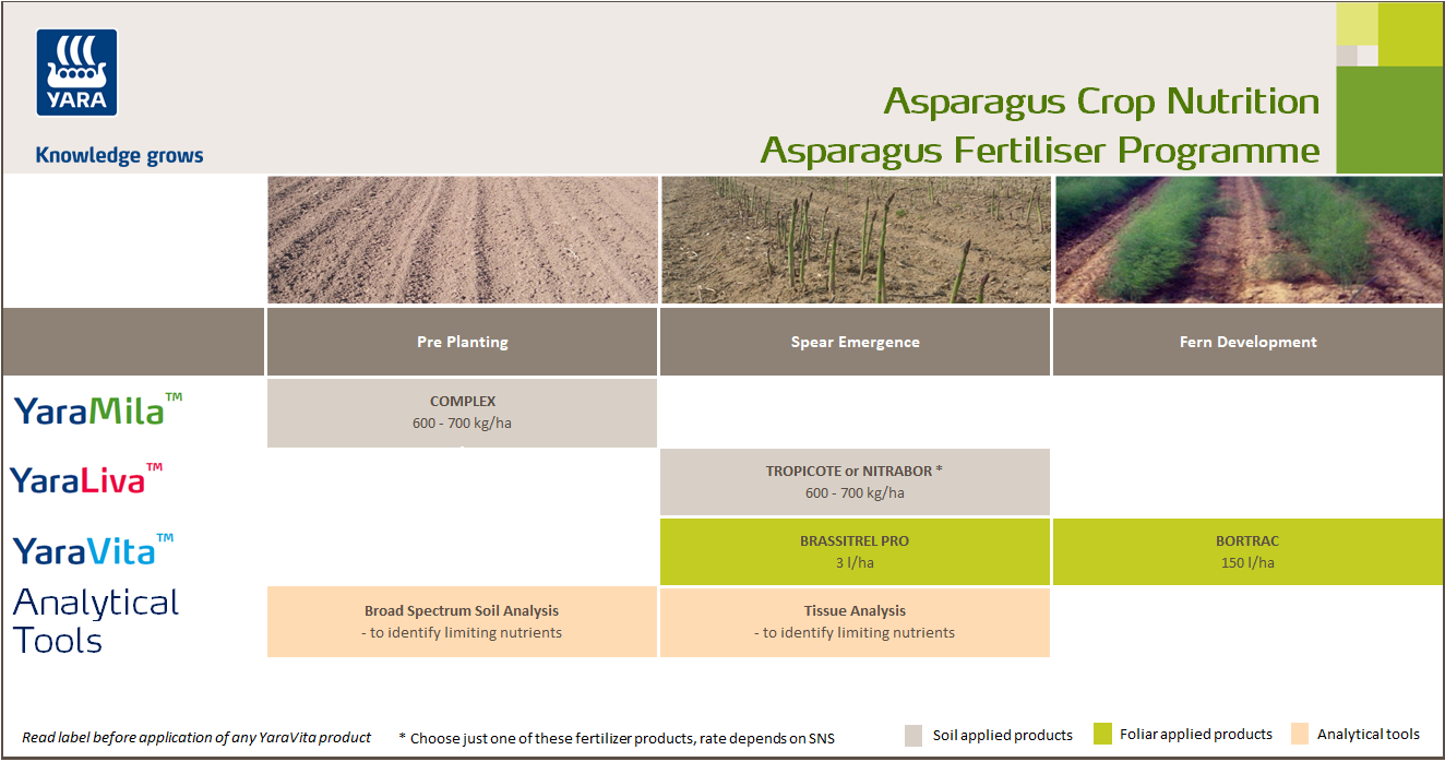 Asparagus fertiliser programme