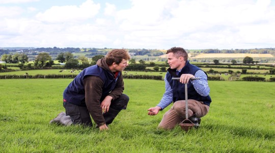 Grassland farmer reviewing the soil 