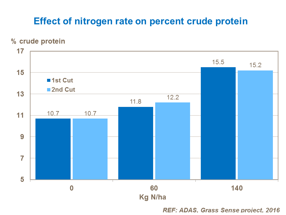 Effect of nitrogen rate on percent crude protein