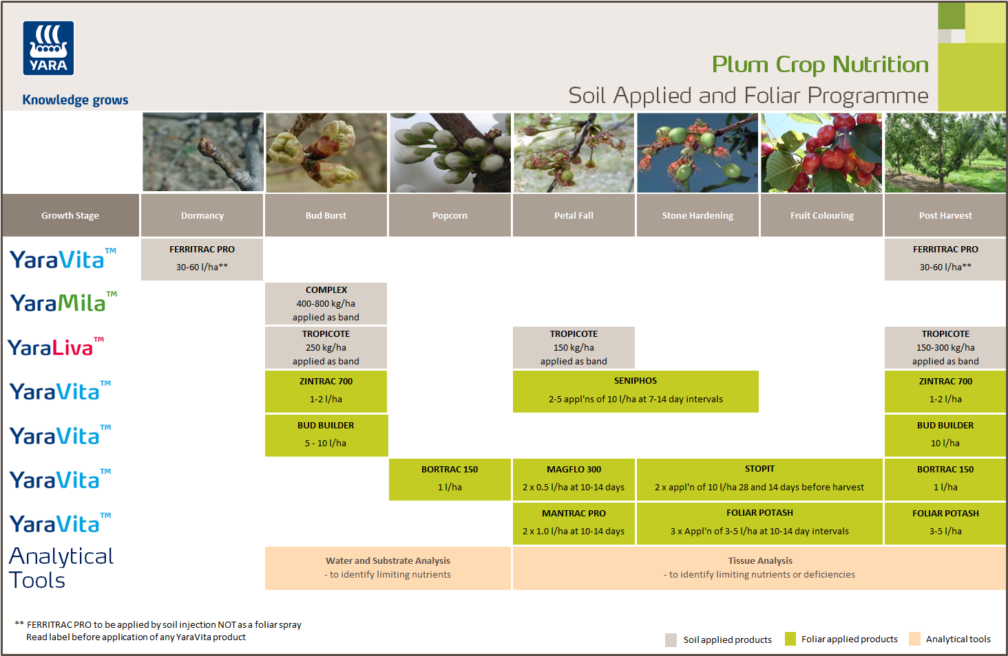 Plum fertiliser programme