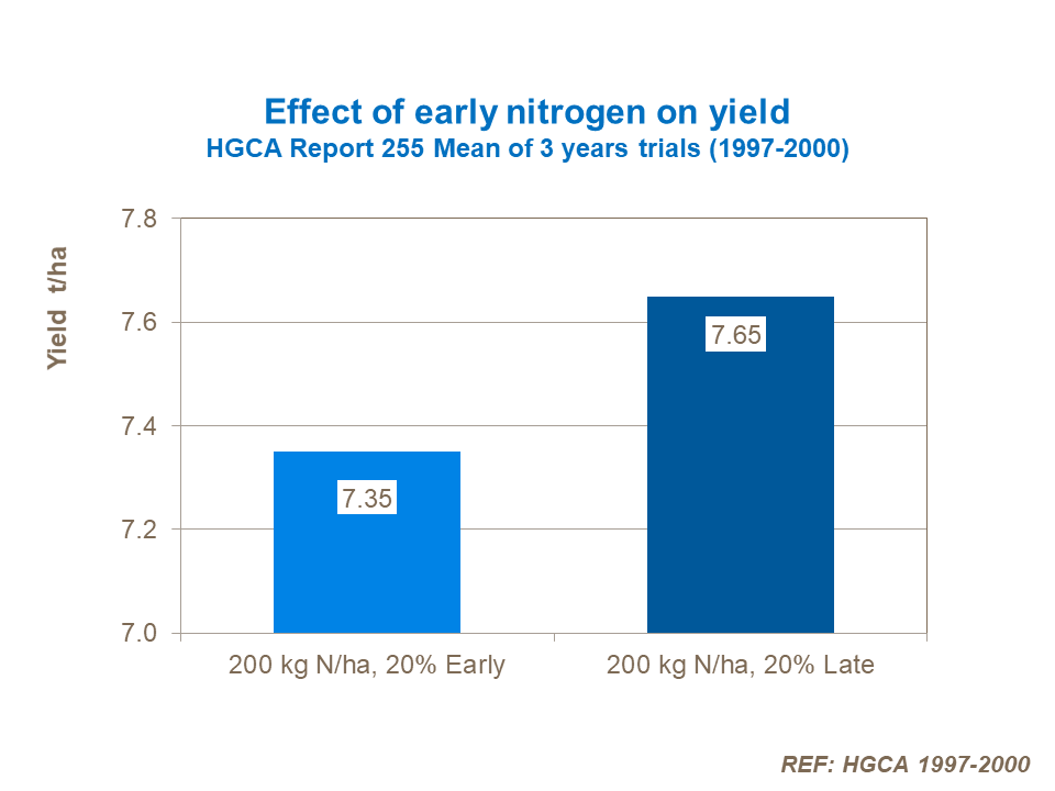 Effect of early nitrogen on yield.png