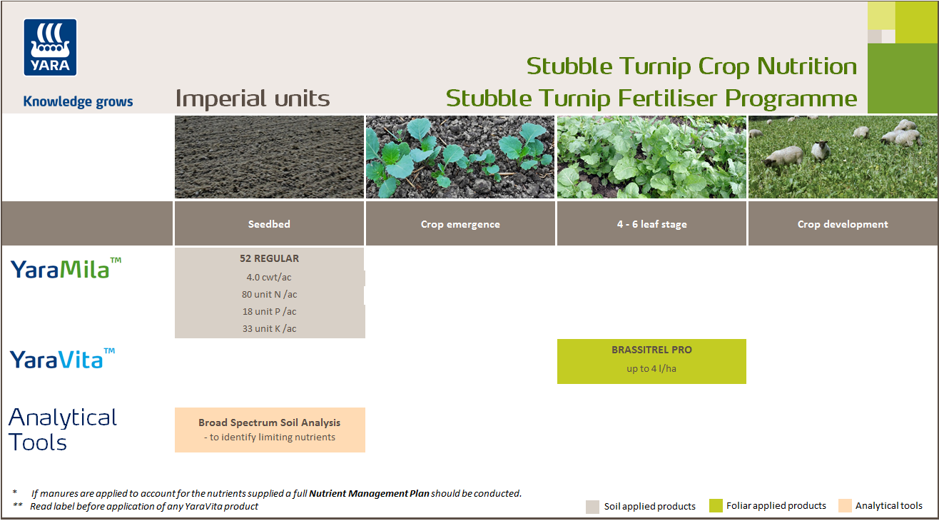 Stubble turnip fertiliser programme