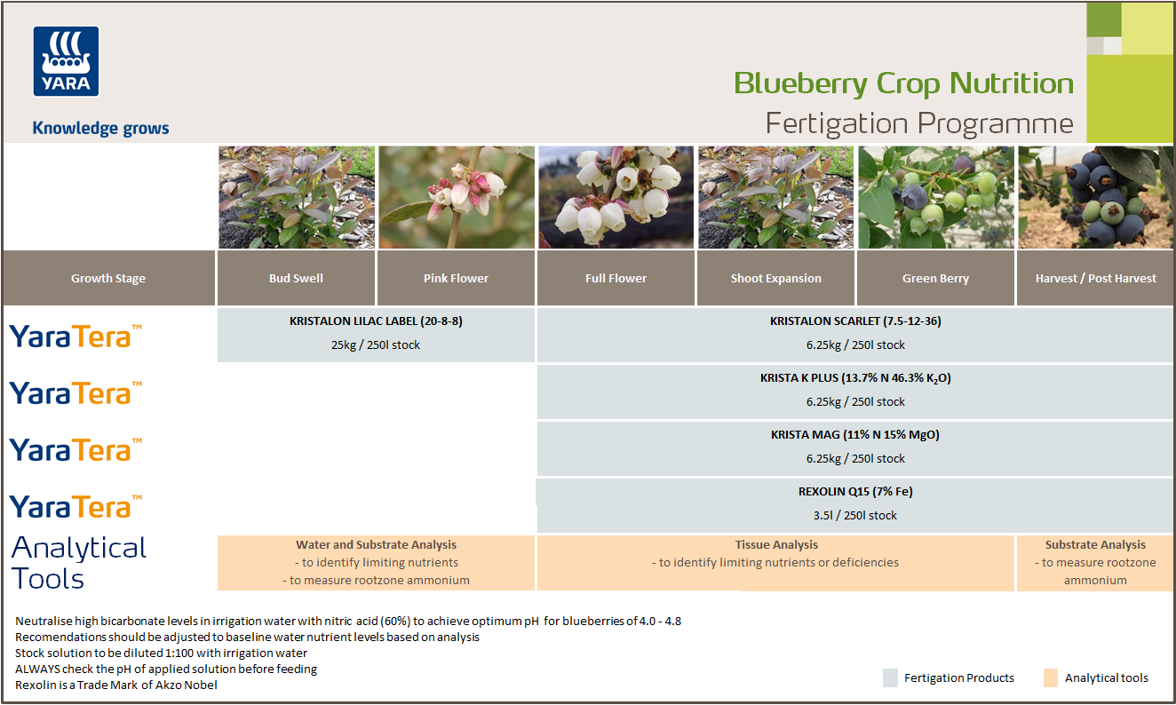Blueberry ferigation programme