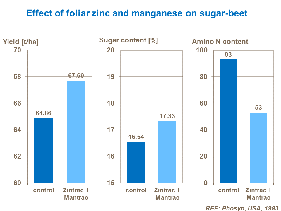 Effect of foliar zinc and manganese on sugar-beet