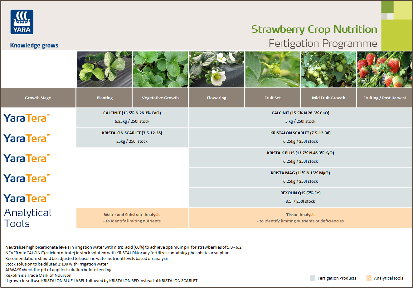 Strawberry fertigation programme
