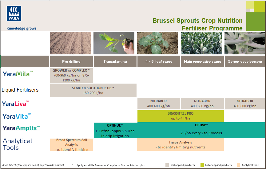 Brussel sprouts crop nutrition programme